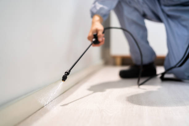 Licensed Pest Control service in Marbury, AL - Show Me Pest Control